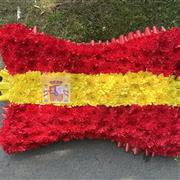 Spanish Flag