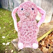 Pink Bunny Jelly Cat 