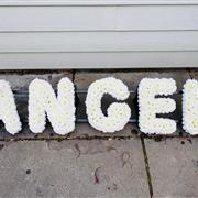 The Word Angel
