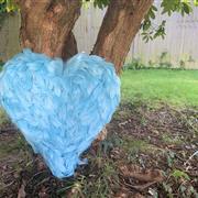 Feathered Heart 