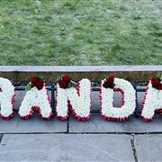 GRANDAD