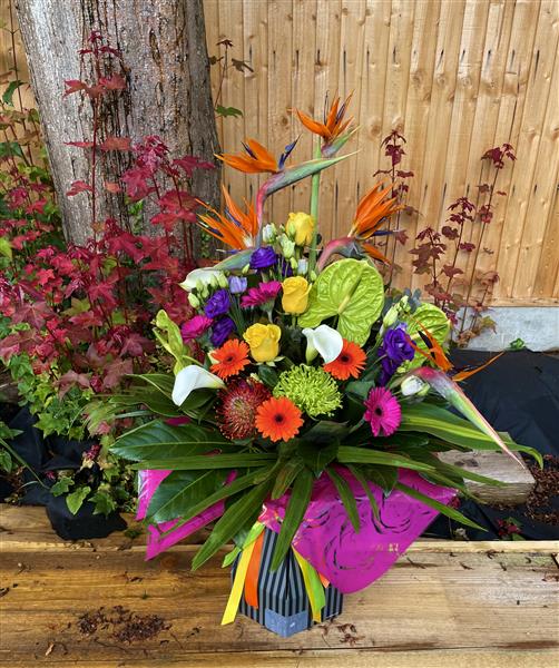 Colour Explosion - Flowers by Cherie Reading Florist