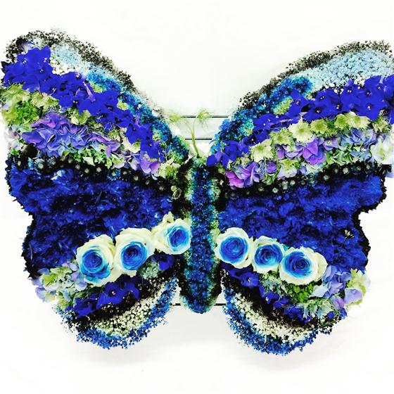 Blue butterfly