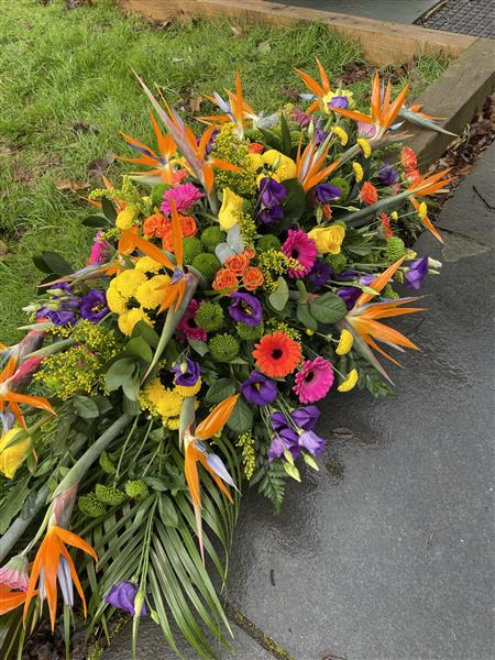 Birds of Paradise Spray - Funeral Flowers Reading
