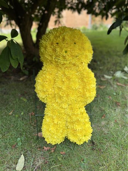 Jelly sales baby teddy