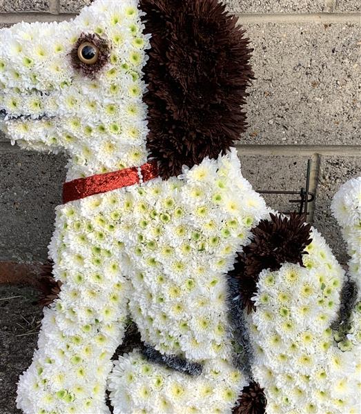 Dog Tribute Funeral Flowers Reading