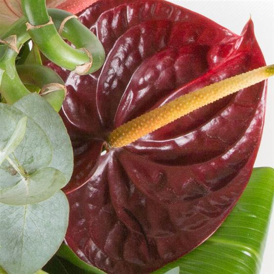 Fantasia Flowers by Cherie Reading Florist